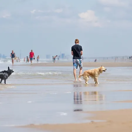 Ferienhaus Holiday Stern.3 Noordwijk